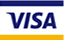 visa card